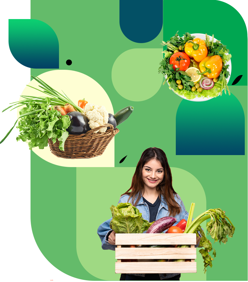 web banner new png 3.0
